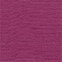 Jane Fucsia