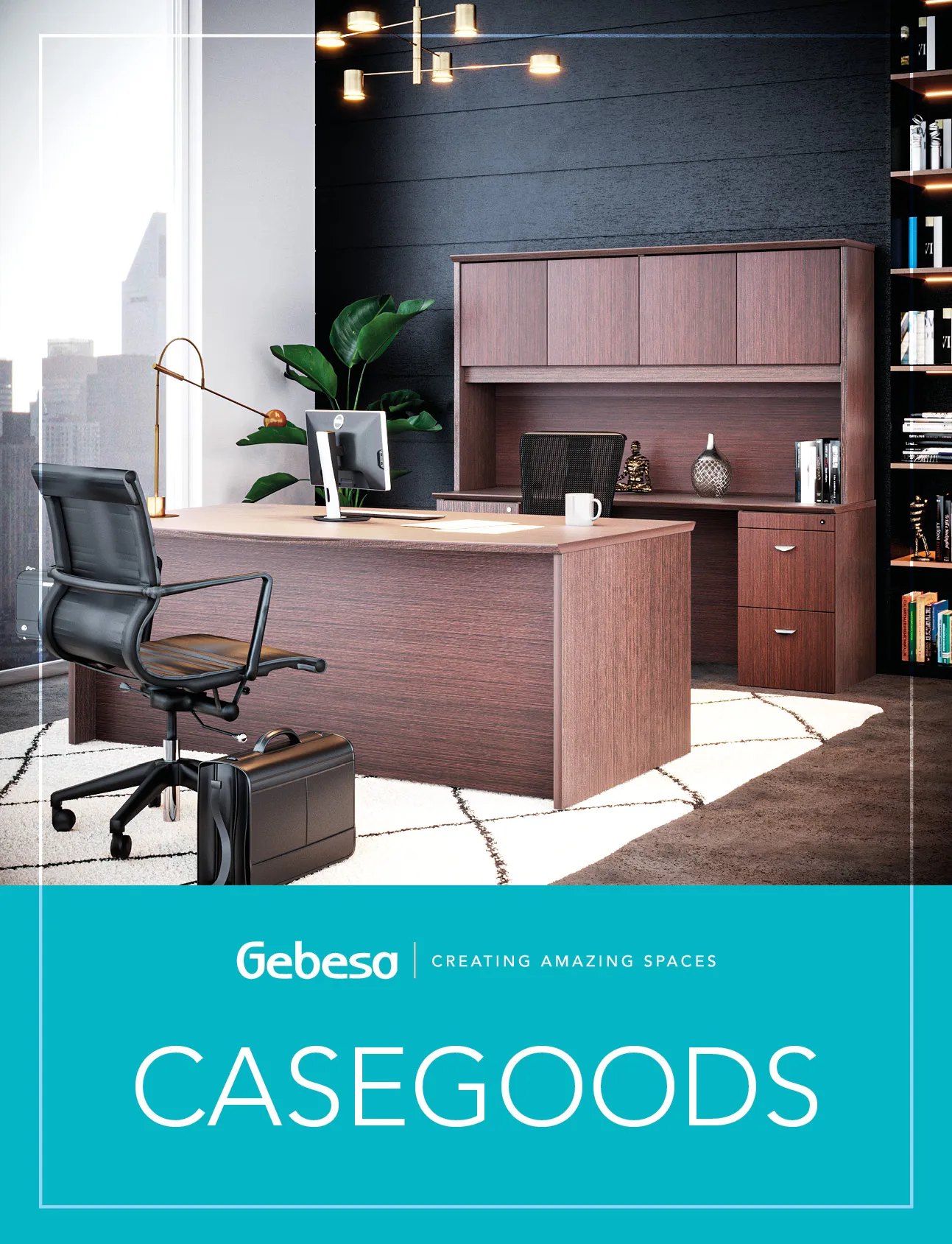 CASEGOODS ES