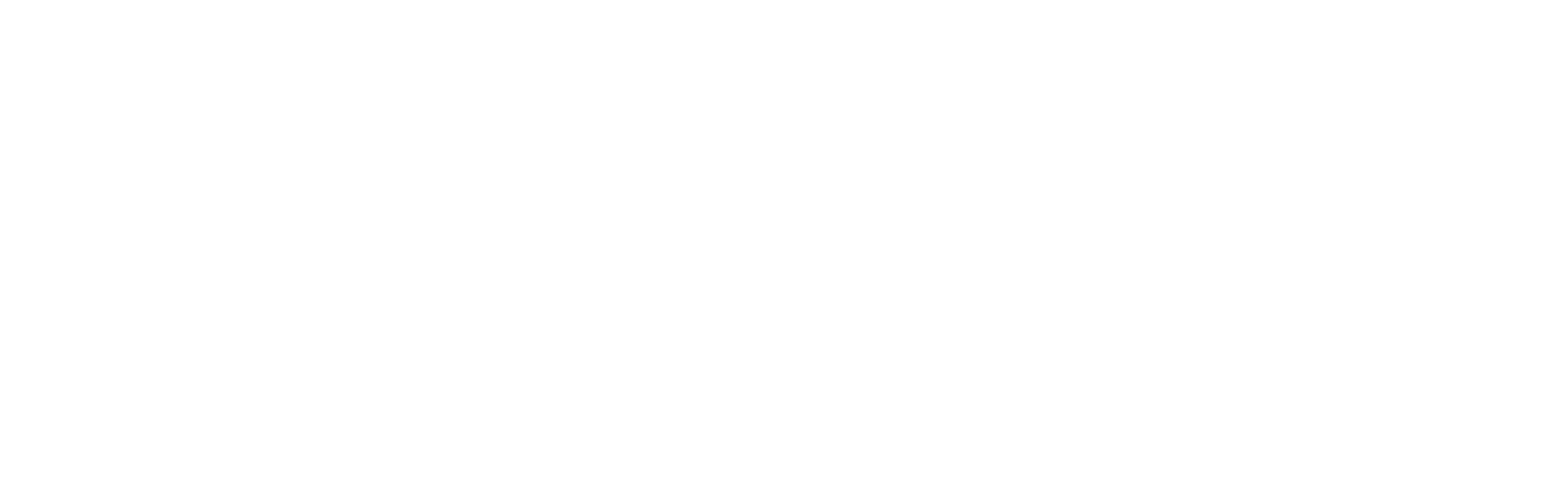 Gebesa Logo