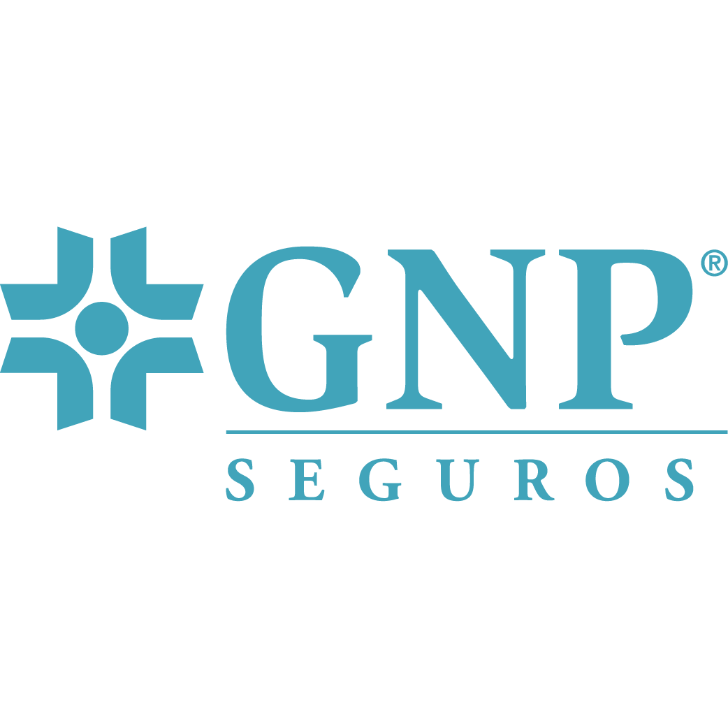 GNP