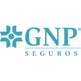 GNP